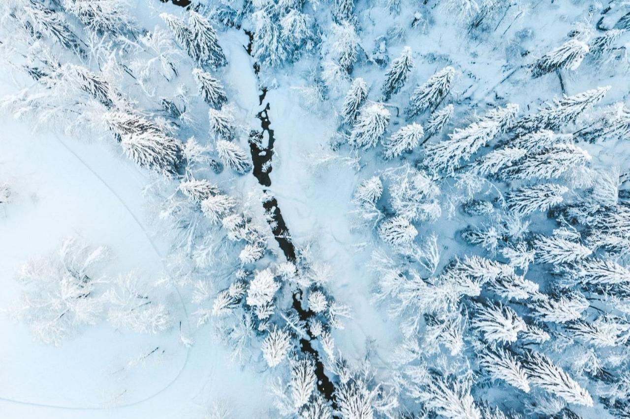 Residence Les Portes Du Soleil - Proprietes Mont Amour Авориаз Екстериор снимка